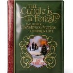 Howard Books Teen & Young Adult Holiday & Celebrations Fiction eBook-0